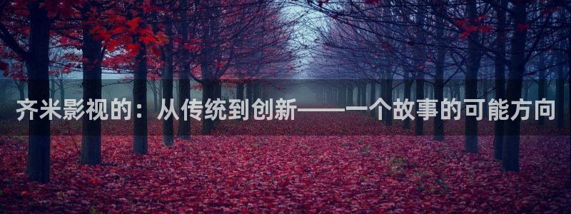 黑蚂蚁影视剧：齐米影视的：从传统到创新——一个故事的可能方向