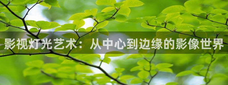 黑蚂蚁视频电视剧：影视灯光艺术：从中心到边缘的影像世界