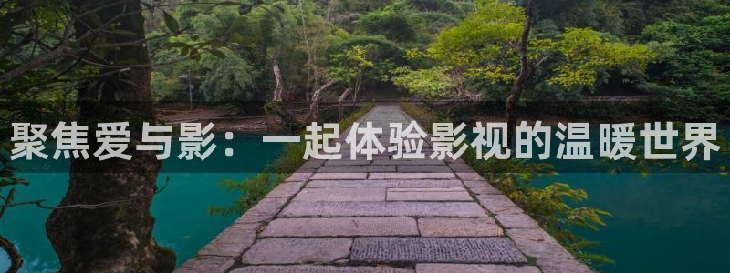 黑蚂蚁电影电视：聚焦爱与影：一起体验影视的温暖世界