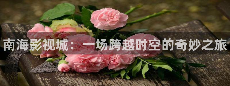 黑蚂蚁电影电视剧：南海影视城：一场跨越时空的奇妙之旅
