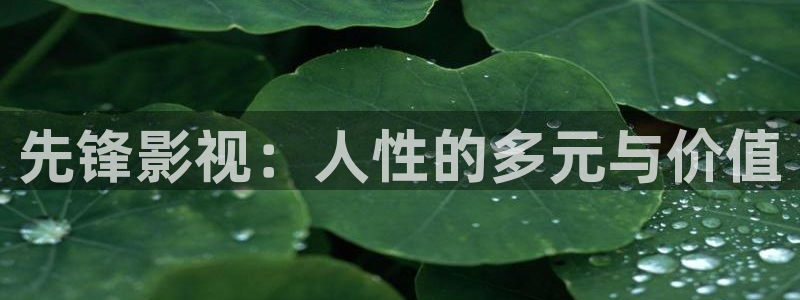 黑蚂蚁视频全集：先锋影视：人性的多元与价值
