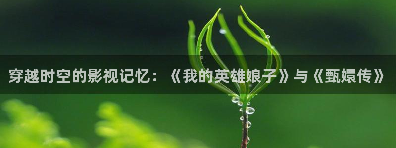 黑蚂蚁的价格：穿越时空的影视记忆：《我的英雄娘子》与《甄嬛传》