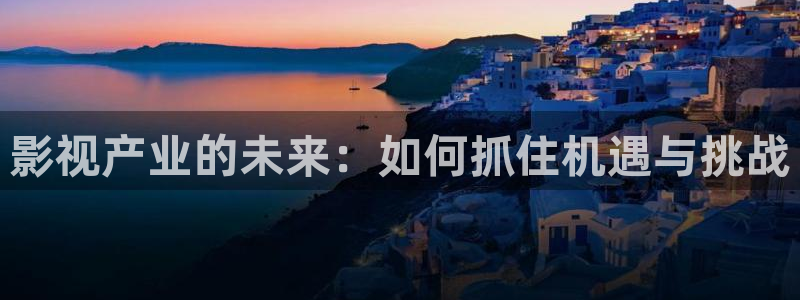 大明王朝1566全集免费黑蚂蚁影院：影视产业的未来：如何抓住机遇与挑战