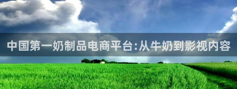 黑蚂蚁在线影院：中国第一奶制品电商平台:从牛奶到影视内容