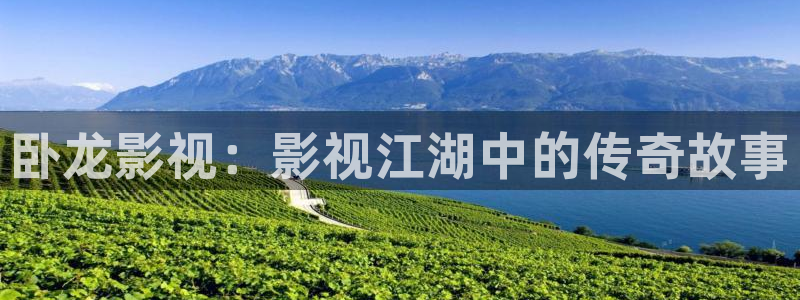 黑蚂蚁电视剧免费观看全集：卧龙影视：影视江湖中的传奇故事