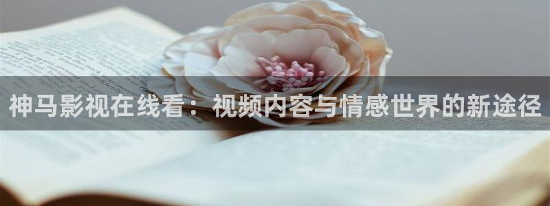 黑蚂蚁电视剧全集免费收看：神马影视在线看：视频内容与情感世界的新途径