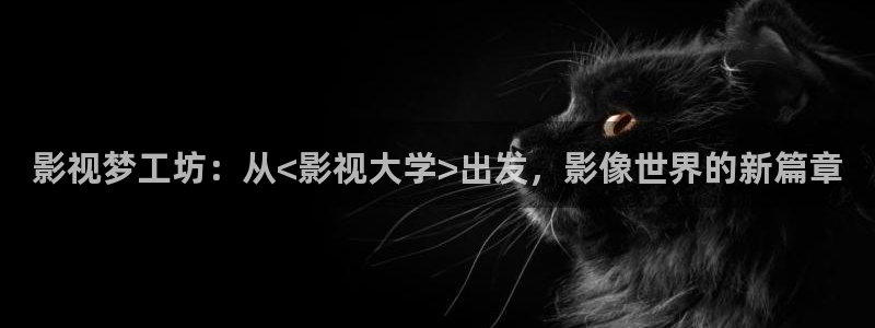 蚂蚁影视黑蚂蚁：影视梦工坊：从<影视大学>出发，影像世界的新篇章