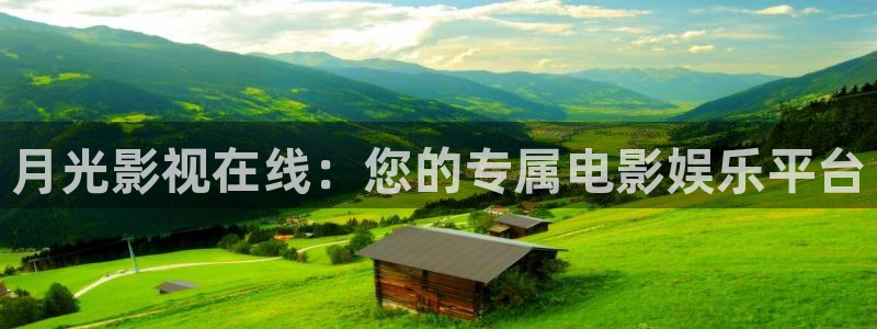 黑蚂蚁影视公司：月光影视在线：您的专属电影娱乐平台