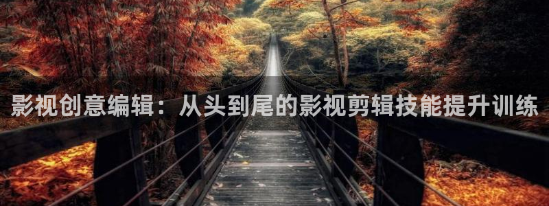 黑蚂蚁影视影院：影视创意编辑：从头到尾的影视剪辑技能提升训练